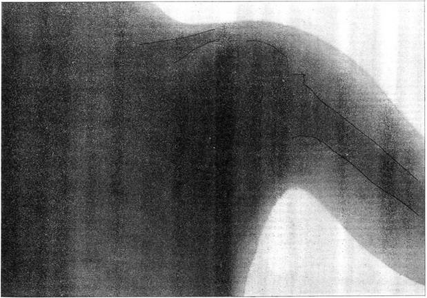 image001.jpg