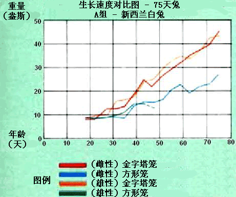 image031.gif image031.gif