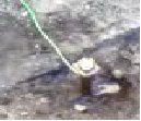 image012.png image012.png