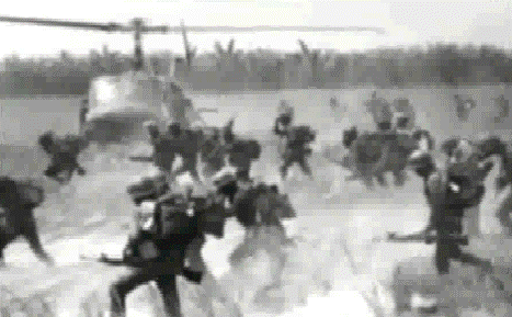 image321.gif image321.gif