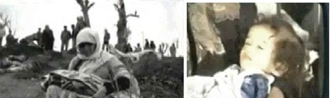 image331.gif image331.gif
