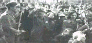 image344.gif image344.gif