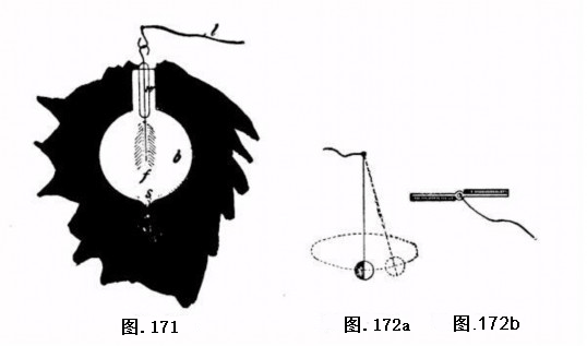 Image_004.gif Image_004.gif