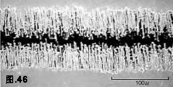 image424.gif image424.gif