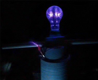 image503.gif image503.gif