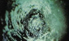 image250.jpg image250.jpg
