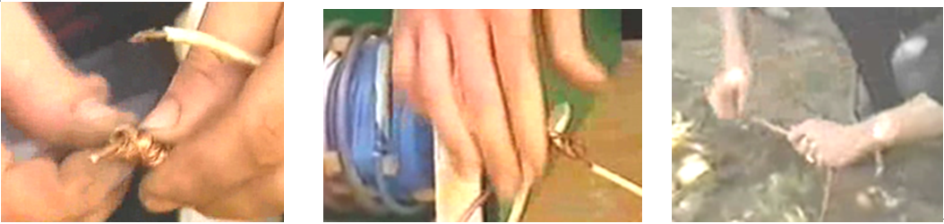 image314.png image314.png