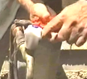 image316.png image316.png